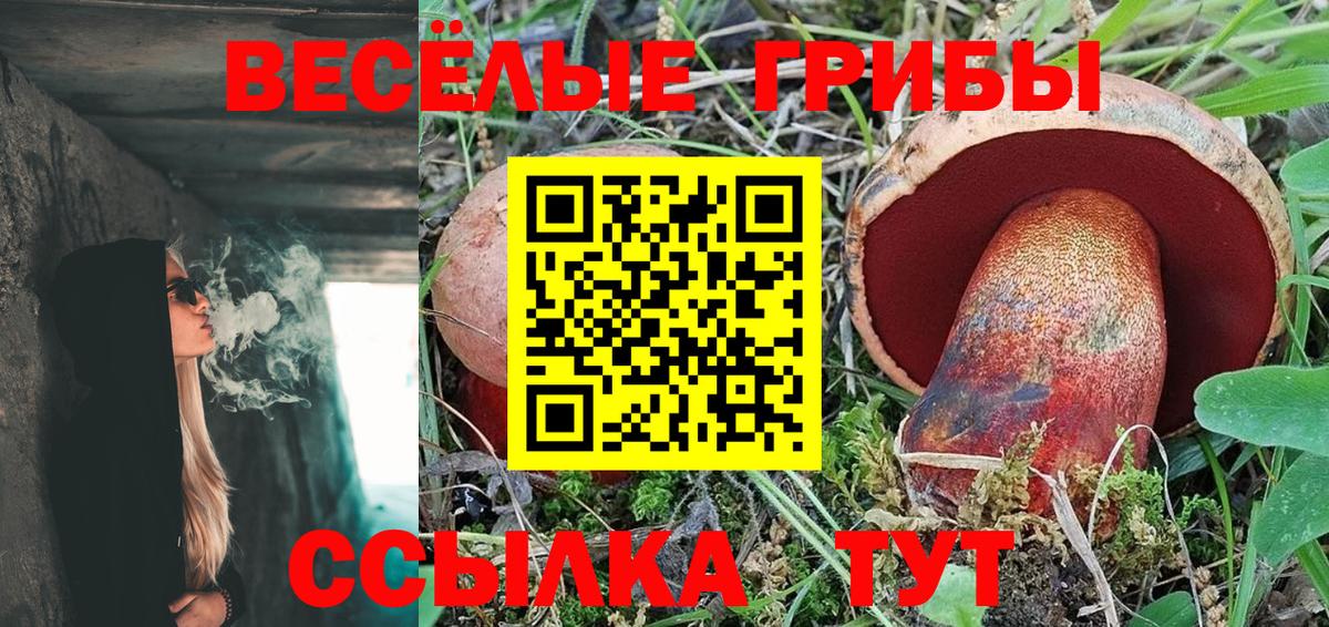 Изобильный  Галлюциногенные грибы Psilocybe  Вход с VPN 